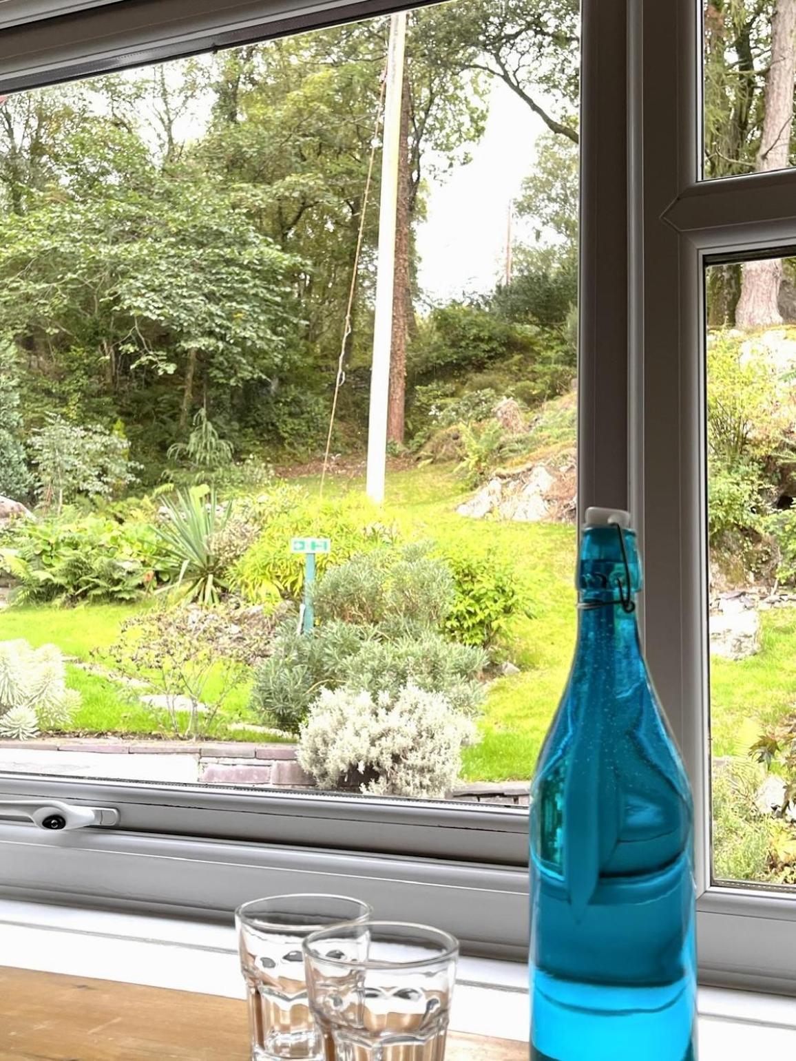 The Lake View Hotel Llanberis Rum bild
