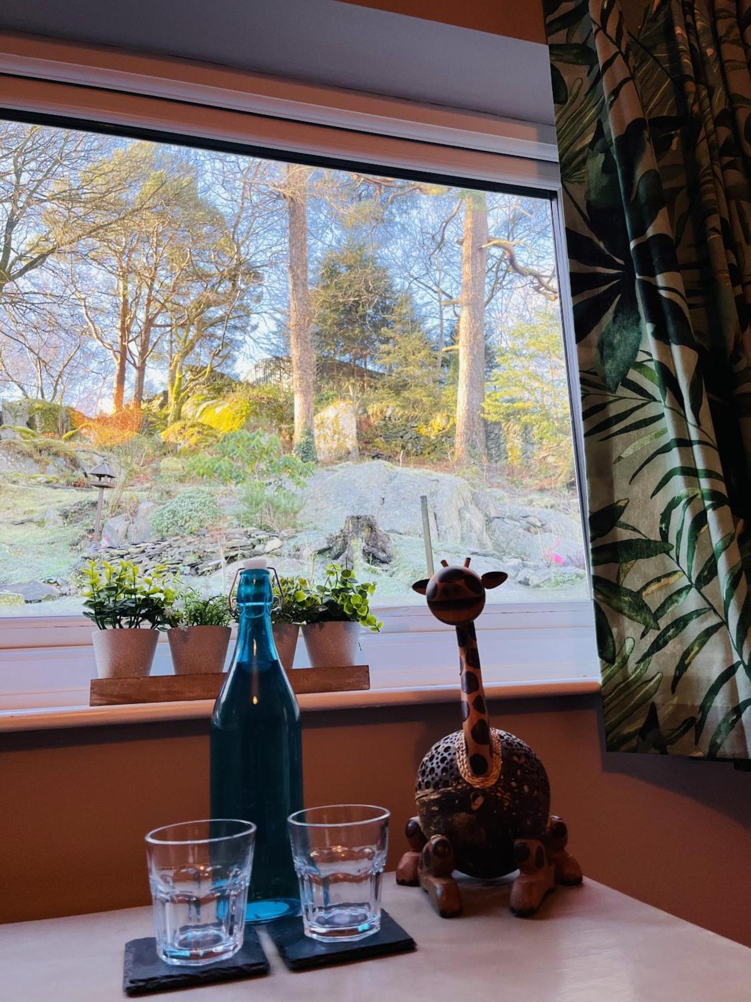 The Lake View Hotel Llanberis Rum bild